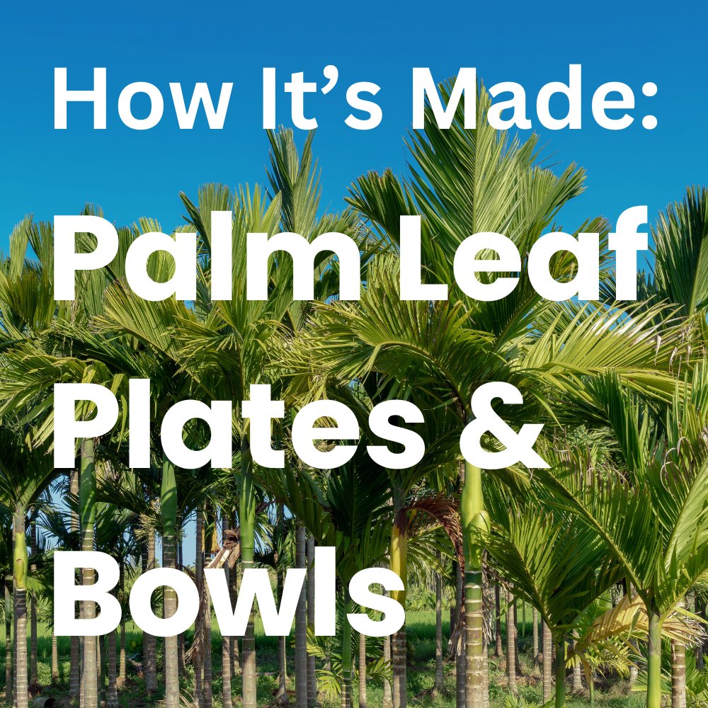 Discover the Ultimate Eco-Friendly Dinnerware and How it is Made - Pick On Us, LLC