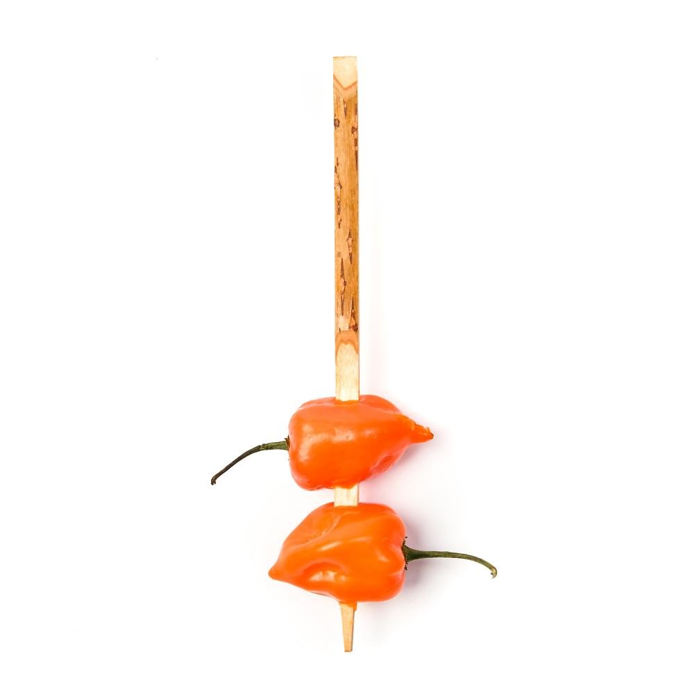 Black Willow Skewer - 6 Inch - Pick On Us, LLC