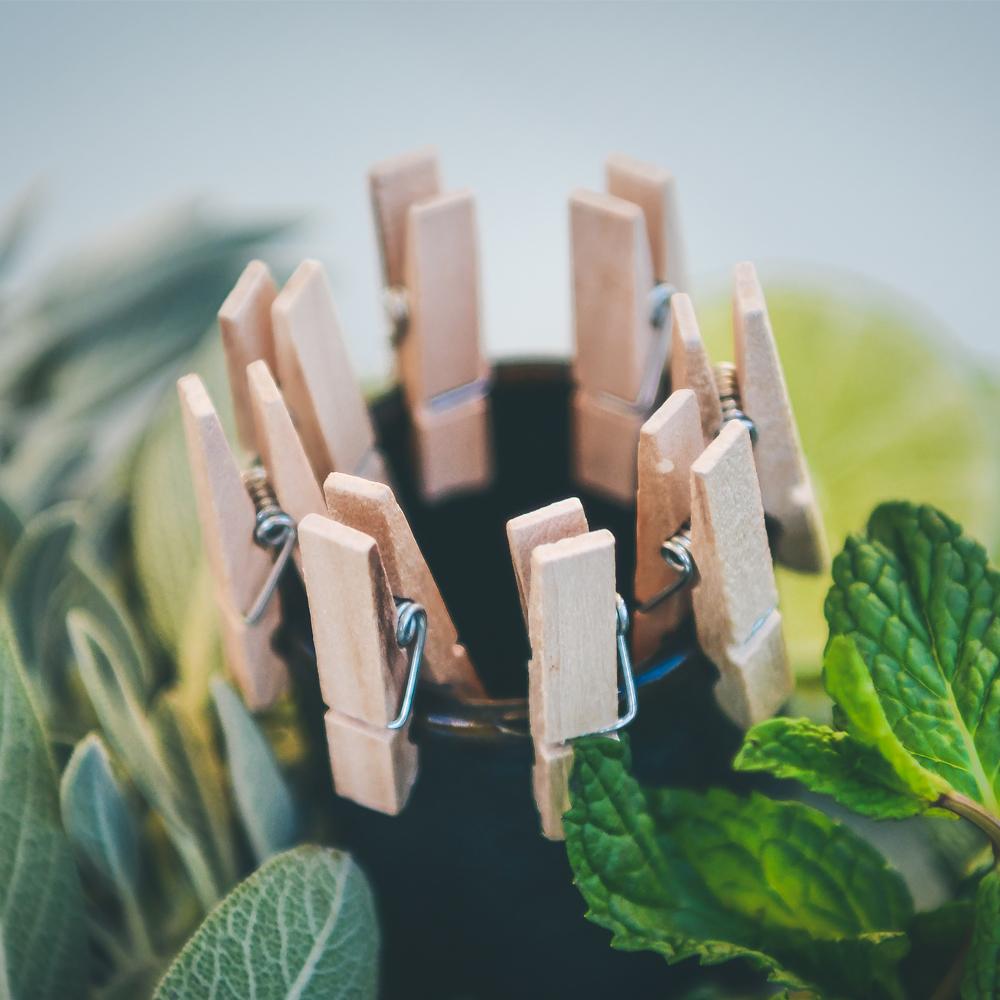 Mini Clothespins - 1.5 Inch Cocktail Garnish Clip - Pick On Us, LLC