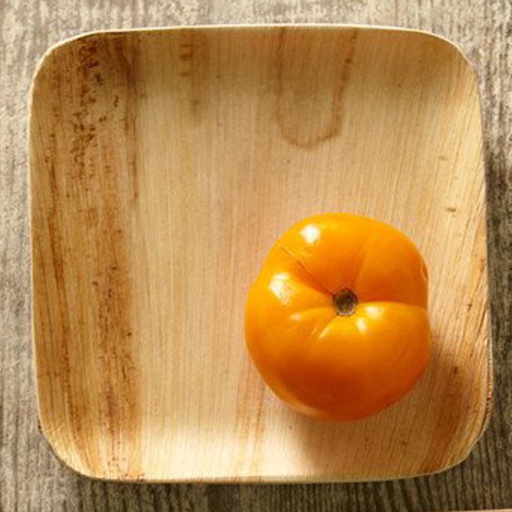 Palm Leaf Plates - 8 Inch Square - Pick On Us, LLC