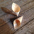 Wood Tasting Cones - 5 Inch - Pick On Us, LLC