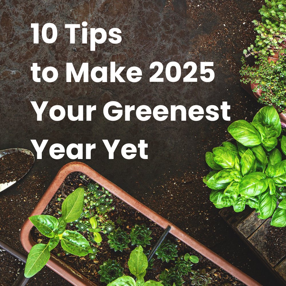 10 Tips to Make 2025 Your Greenest Year - Pick On Us, LLC