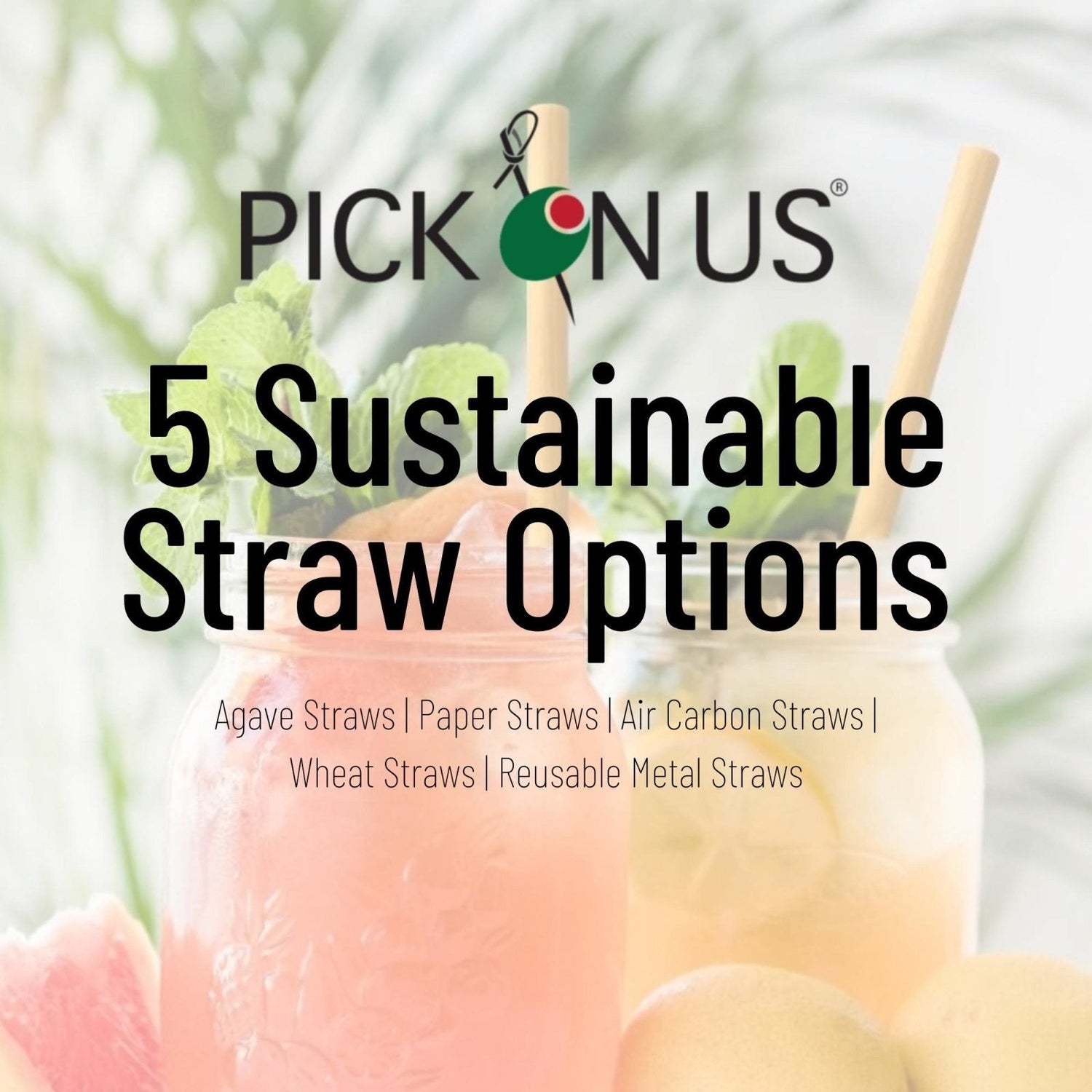 How Agave Straws Can Help Us Defeat The Problem Of Plastic - Pick On Us, LLC