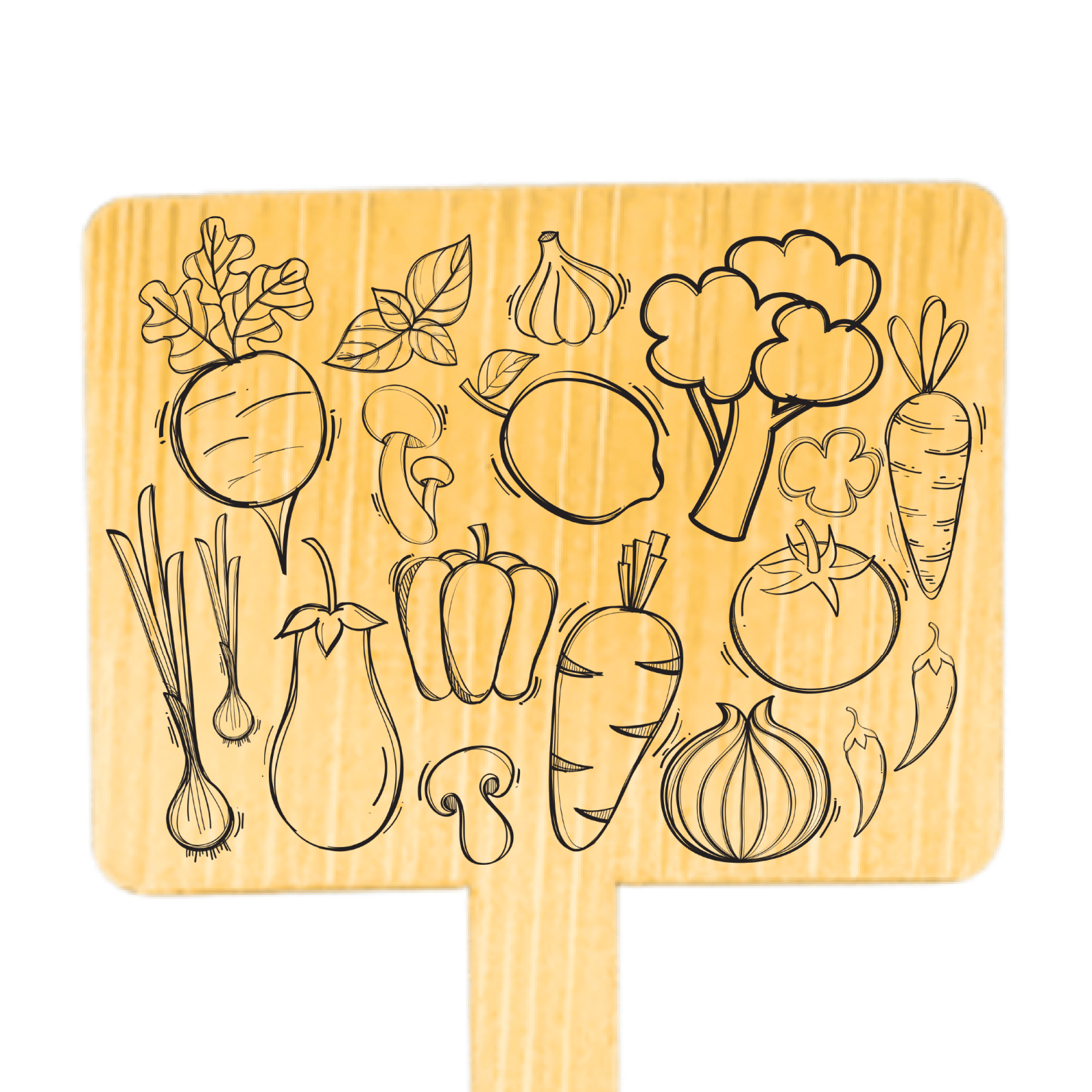 6 Inch Bamboo Snack & Appetizer Picks – Custom Design - Pick On Us, LLC