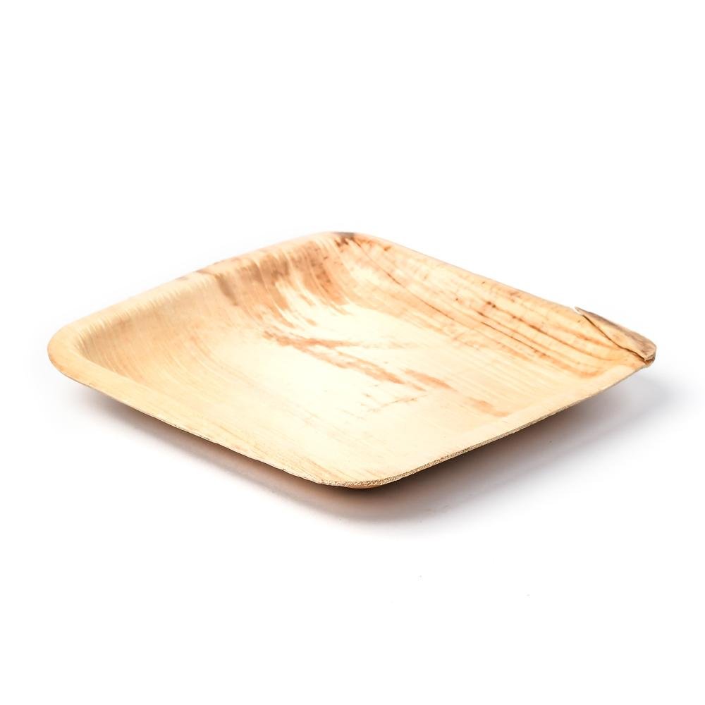 Good for You, Good for the Planet: Biodegradable Serveware That Does It All  - VerTerra Dinnerware