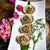 Disposable Bamboo Tasting Cups - 2.75 Inch - Pick On Us, LLC