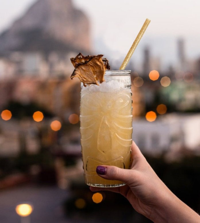 Wrapped - Natural Agave Straws